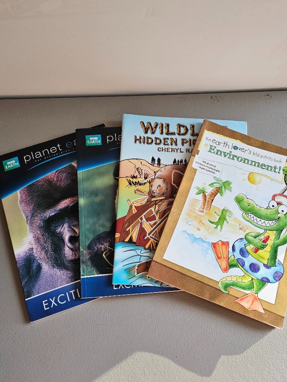 Environment Activity Books Wildlife Hidden Pictures Animal Coloring Books 4